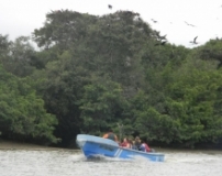 Imagen Paseos en lancha